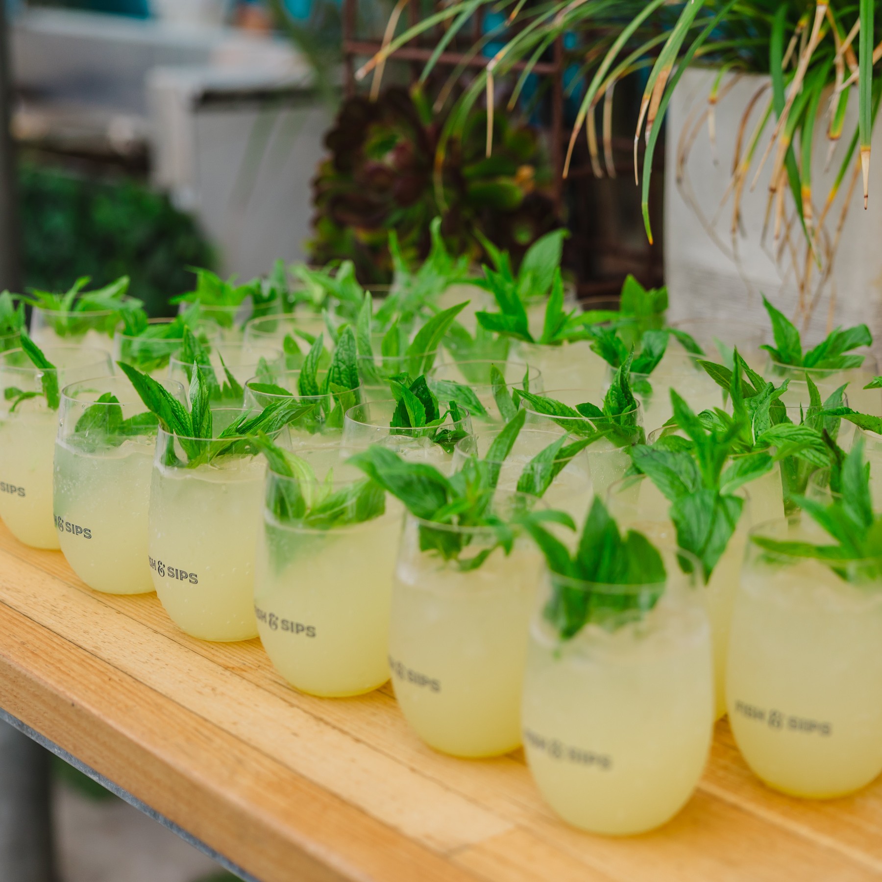 coast port 72 Bottomless Brunch in Perth at Coast Port Beach 7